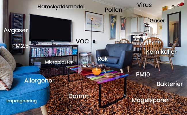 Partiklar som är vanliga i ett vardagsrum