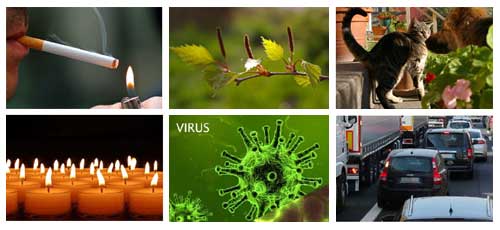 Bild: Rökning, björkpollen, husdjur, avgaser, virus, bakterier, rök från ljus tas bort av luftrenare