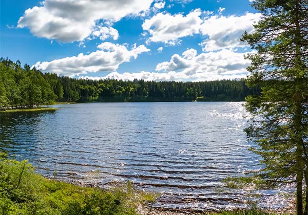 I naturen är det oftast fler negativa joner än i ett tätbebyggt område. Det är en av anledningarna till att vi mår bättre när vi vistas i naturen.