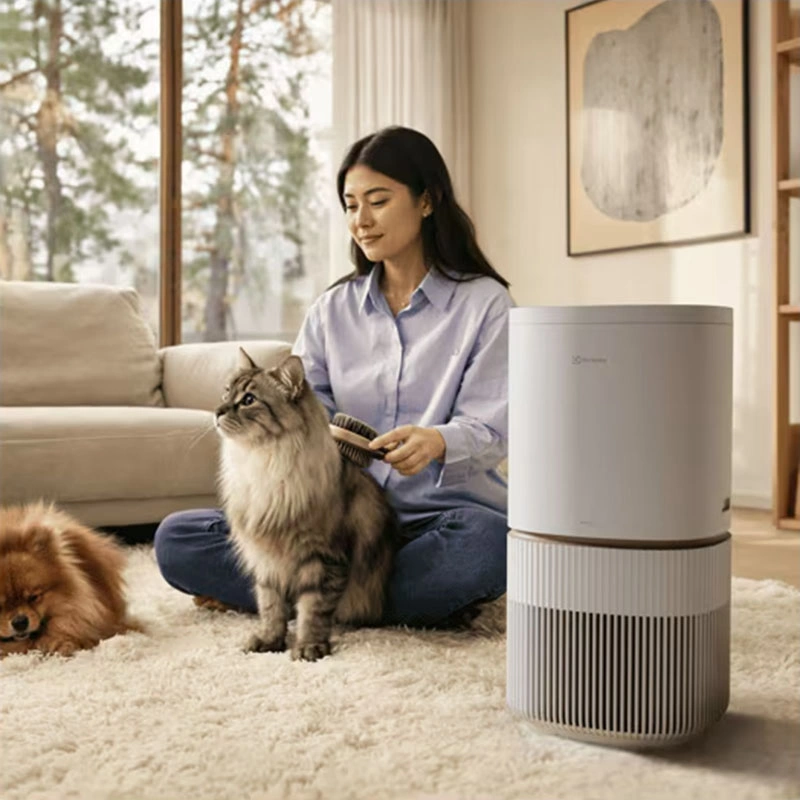 Bild: Pure 500 XL PetCare i ett rum med en katt