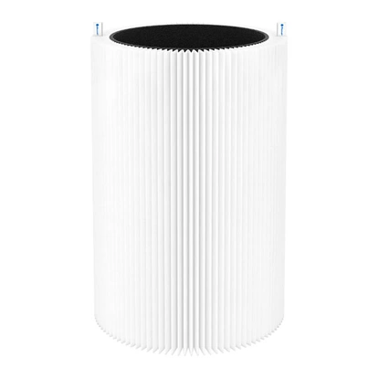 Partikel- och kolfilter till Blue 3210/411/Joy S (1 st)