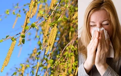 Luftrenare mot pollen