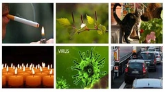 Skadliga och allergiframkallande partiklar i vår inomhusluft