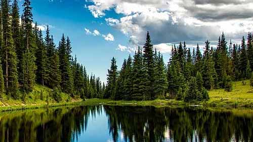 Negativa joner får oss att må bra