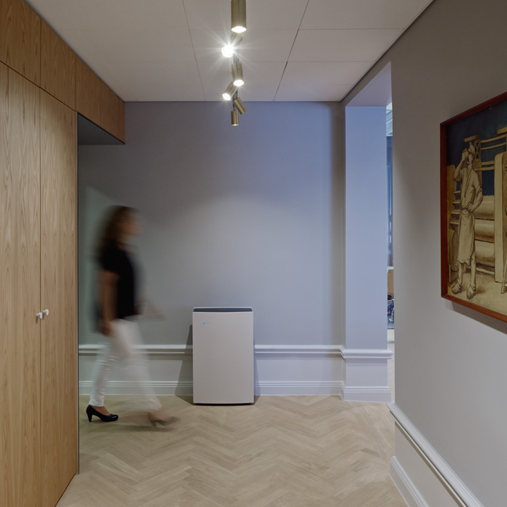 Blueair Pro L Smokestop