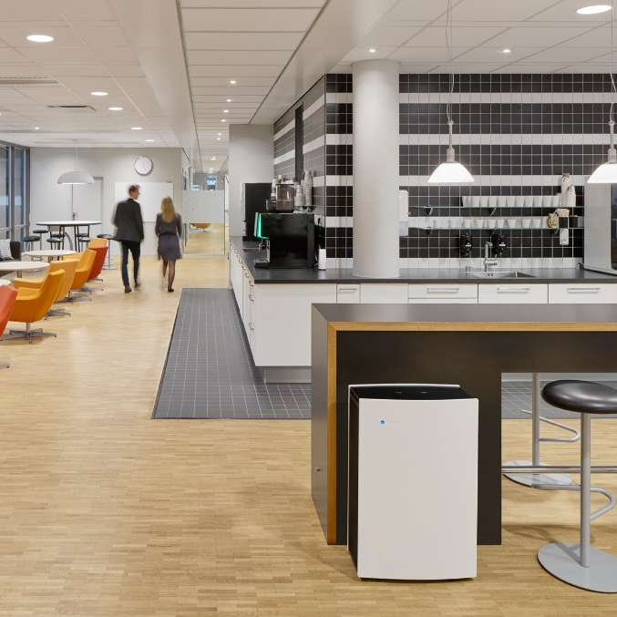 Blueair Pro L Smokestop