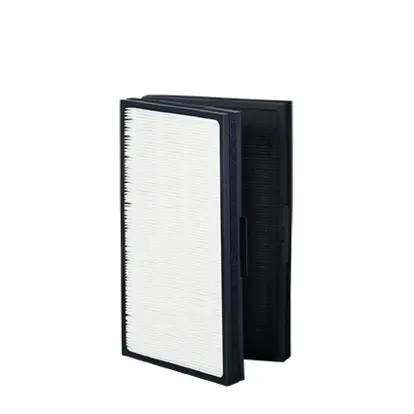 Partikelfilter till Blueair Pro L (2st)