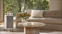 Luftrenare för vardagsrummet