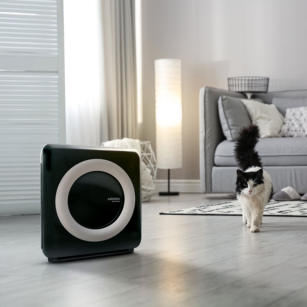 Coway Airmega Mighty Black