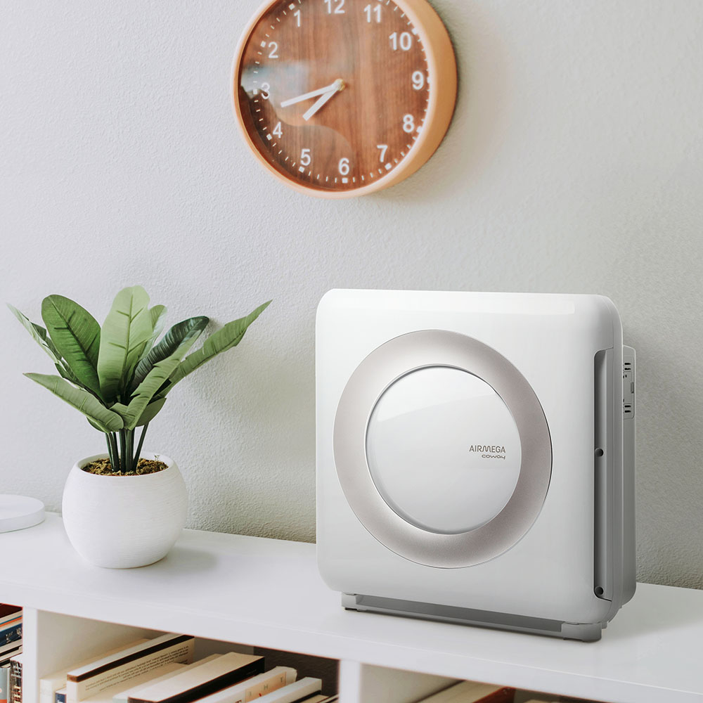 Coway Airmega Mighty