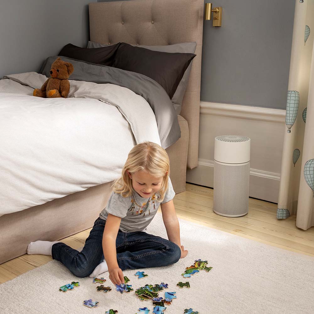 Blueair JOY S luftrenare