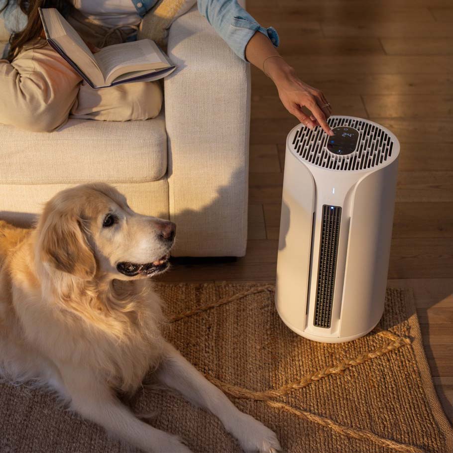 Blueair ComfortPure™ T10i 3-in-1