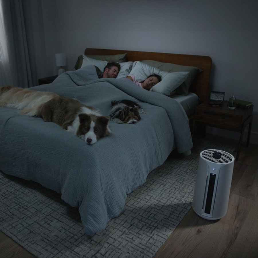 Blueair ComfortPure™ T10i 3-in-1