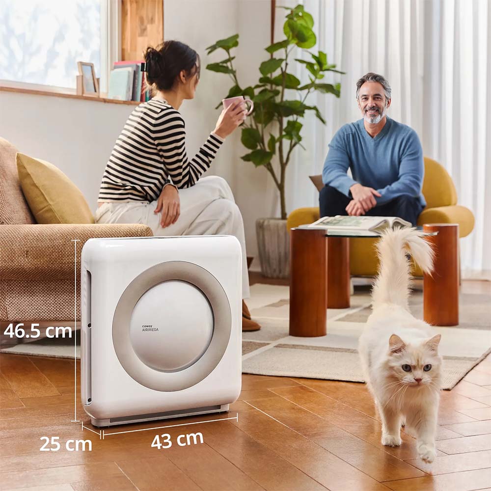 Coway Airmega Mighty