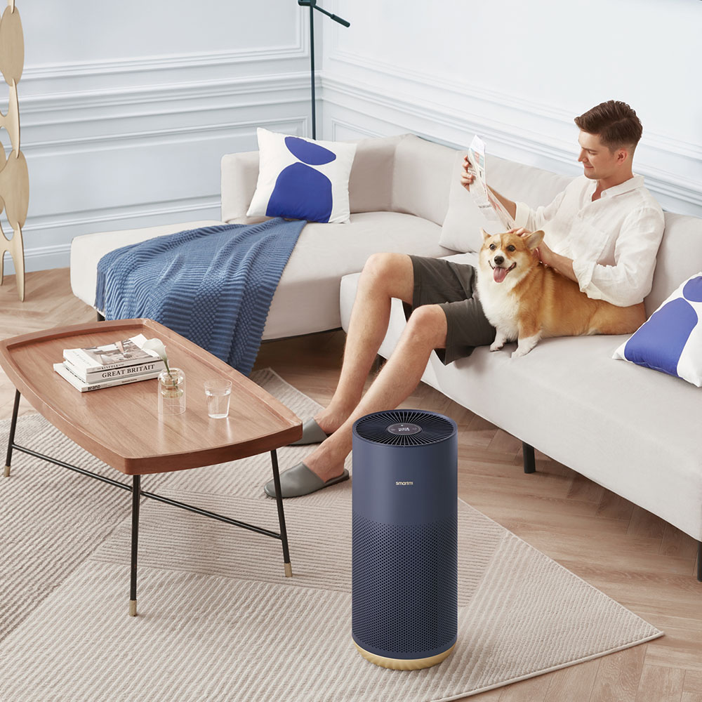 Smartmi Air Purifier 2