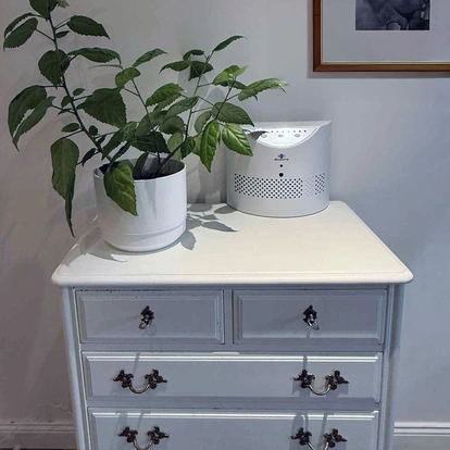 Biozone Basic BZ-PR 45/05 luftrenare