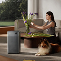 Smartmi Air Purifier 3