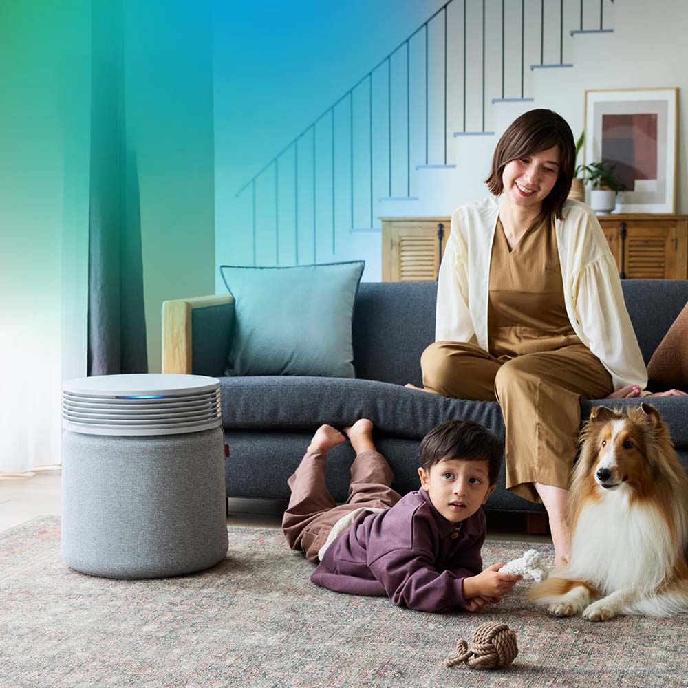 Blueair Blue Signature Light