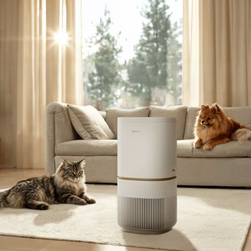 Electrolux Pure 500 XL PetCare
