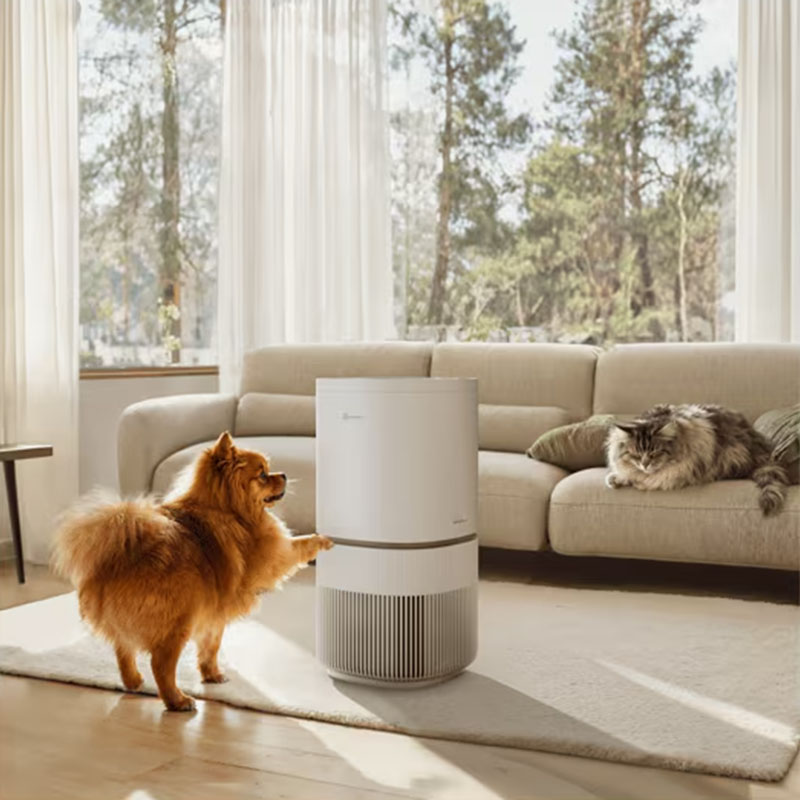 Electrolux Pure 500 XL PetCare