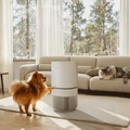 Electrolux Pure 500 XL PetCare