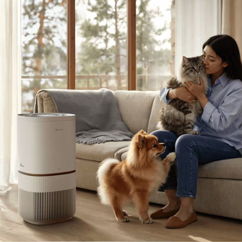 Electrolux Pure 500 XL PetCare