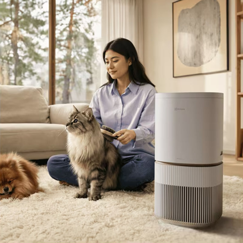 Electrolux Pure 500 XL PetCare