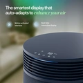Blueair Blue Signature Medium Midnight